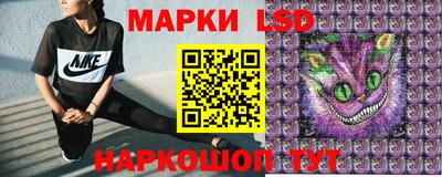 индика Гай