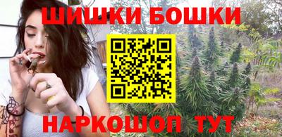 индика Гай