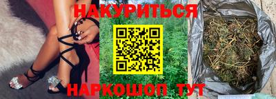 индика Гай