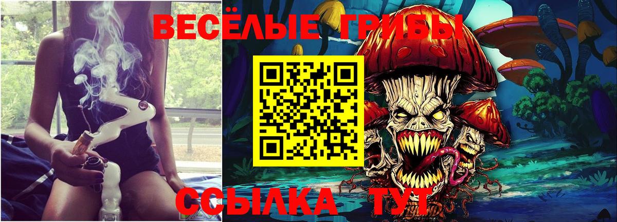 купить наркоту  Галлюциногенные грибы мухоморы  Вход с VPN  Владикавказ 